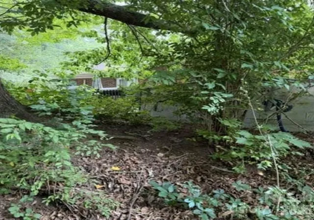 1st image of 3 S And T Spirit Dr, Candler, NC 28715 | MLS# 4402242