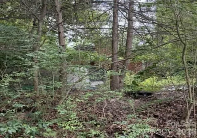 2nd image of 3 S And T Spirit Dr, Candler, NC 28715 | MLS# 4402242