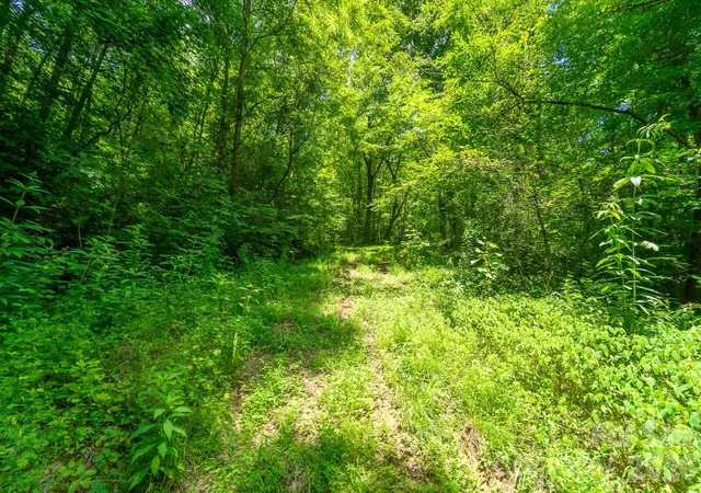 Photo 1 of Land for sale at Tbd Indian Flats Dr, Sylva, NC 28779 | MLS# 4402248 | Listing updated on 2026-08-05