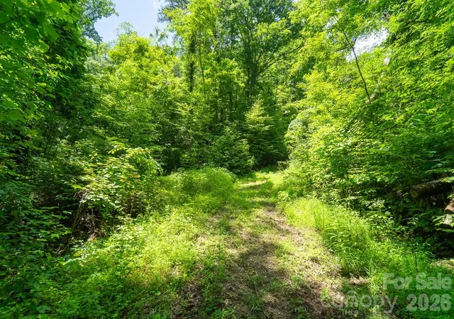 Photo 3 of Land for sale at Tbd Indian Flats Dr, Sylva, NC 28779 | MLS# 4402248 | Listing updated on 2026-08-05