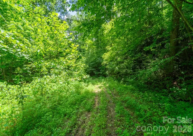Photo 4 of Land for sale at Tbd Indian Flats Dr, Sylva, NC 28779 | MLS# 4402248 | Listing updated on 2026-08-05