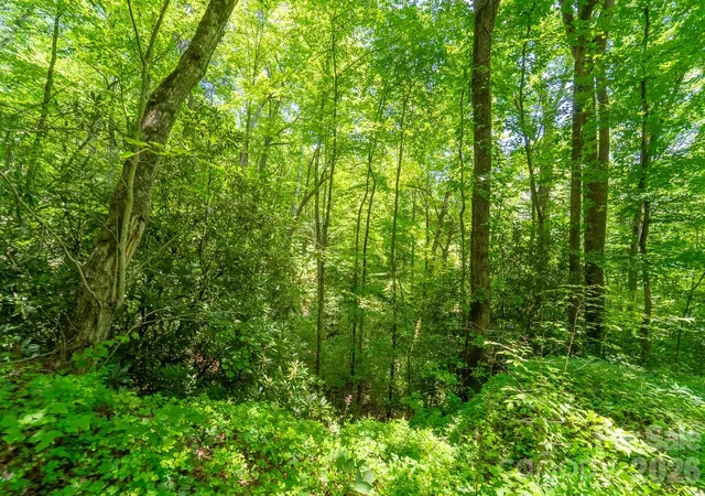 Photo 5 of Land for sale at Tbd Indian Flats Dr, Sylva, NC 28779 | MLS# 4402248 | Listing updated on 2026-08-05