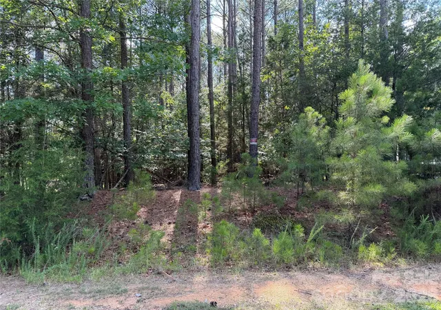 3rd image of 9212 Rustic Creek Trl, Waxhaw, NC 28173 | MLS# 4402260