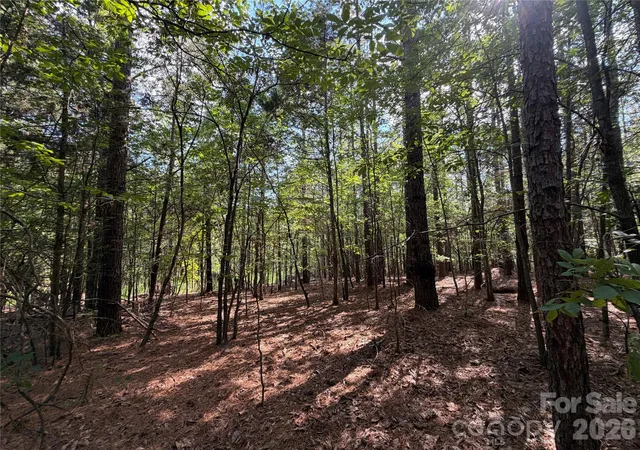 35th image of 9212 Rustic Creek Trl, Waxhaw, NC 28173 | MLS# 4402260