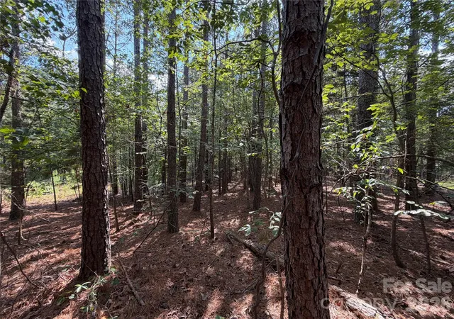 5th image of 9212 Rustic Creek Trl, Waxhaw, NC 28173 | MLS# 4402260