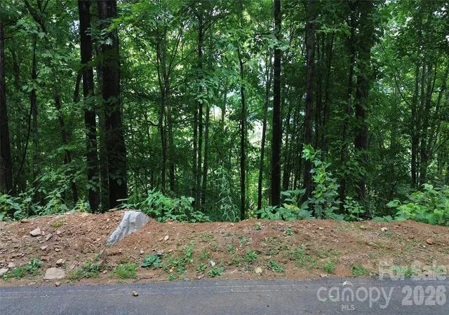 Photo 3 of Land for sale at 7 White Birch Ct, Black Mountain, NC 28711 | MLS# 4402265 | Listing updated on 2026-07-29