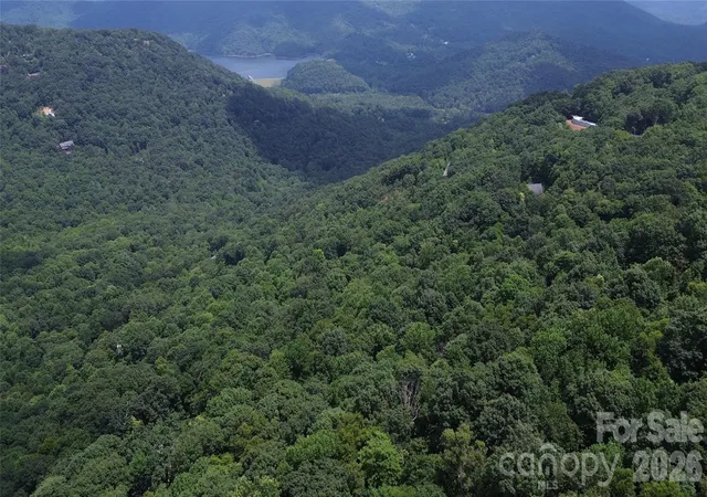 Photo 3 of Land for sale at 7 White Birch Ct, Black Mountain, NC 28711 | MLS# 4402265 | Listing updated on 2026-07-29