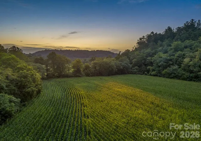 Photo 2 of Land for sale at 7513 Boylston Hwy, Mills River, NC 28759 | MLS# 4402275 | Listing updated on 2026-08-03