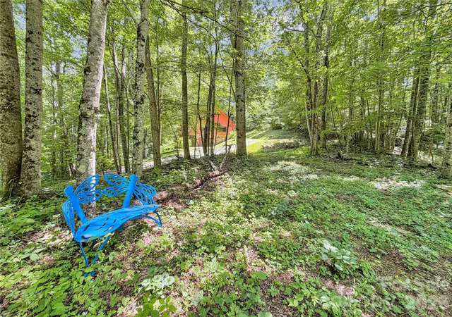 Homes for sale in Banner Elk, NC | 321 Grays Shadow Ln, Banner Elk, NC 28604 | MLS# 4402280
