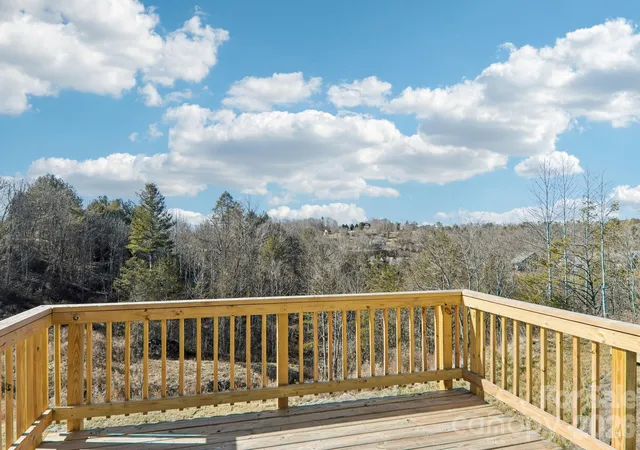 36th image of 843 Adelston Ln, Asheville, NC 28804 | MLS# 4402339