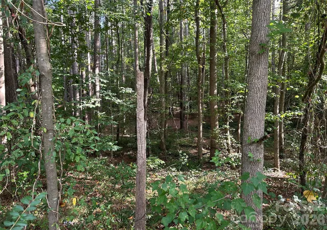 Photo 3 of Land for sale at 00 Knottywood Ln #25, Vale, NC 28168 | MLS# 4402600 | Listing updated on 2026-07-10