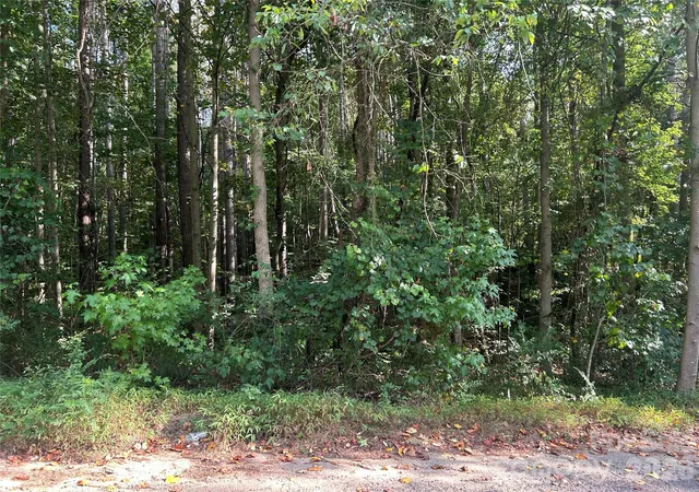 Photo 4 of Land for sale at 00 Knottywood Ln #25, Vale, NC 28168 | MLS# 4402600 | Listing updated on 2026-07-10