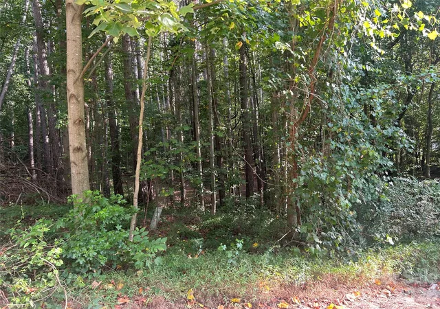6th image of 00 Knottywood Ln #25, Vale, NC 28168 | MLS# 4402600