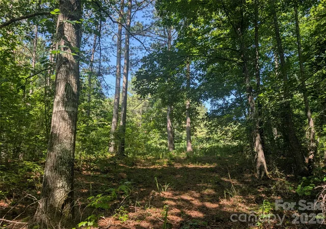 3rd image of 120 Scenic Ridge Dr #36, Mooresboro, NC 28114 | MLS# 4402653