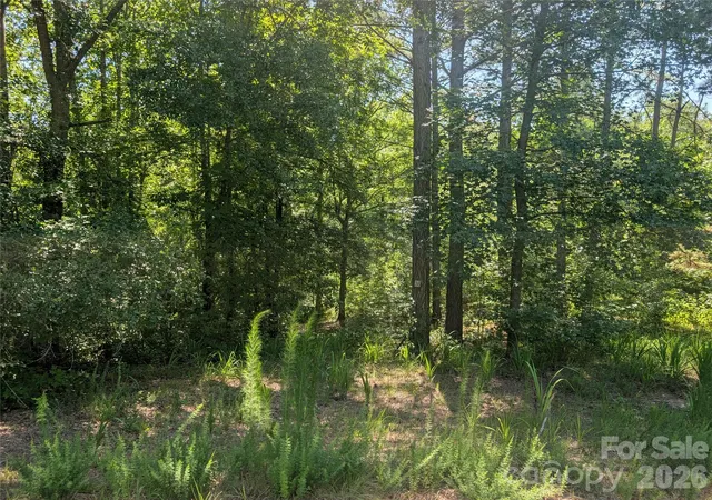 4th image of 120 Scenic Ridge Dr #36, Mooresboro, NC 28114 | MLS# 4402653