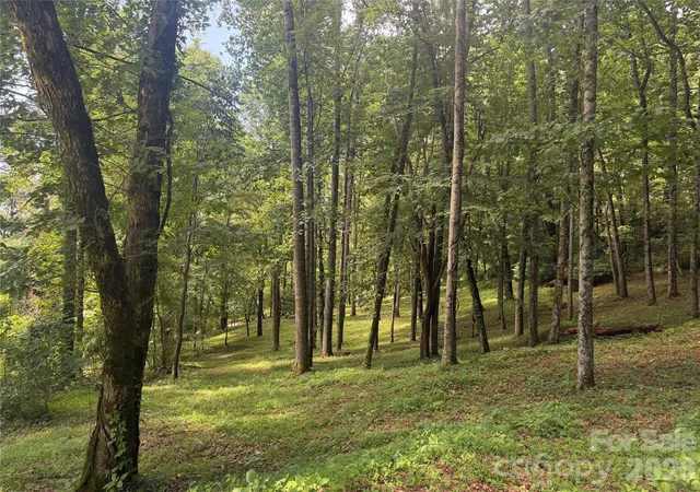 Photo 1 of Land for sale at 89 Split Rock Trl #56, Arden, NC 28704 | MLS# 4402746 | Listing updated on 2026-07-21