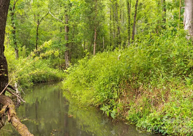 Photo 4 of Land for sale at 000 Blanton Rd #2, Sharon, SC 29742 | MLS# 4402785 | Listing updated on 2026-07-31