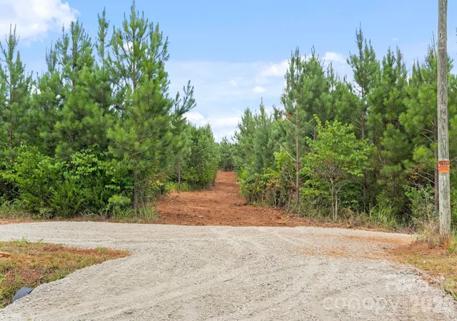 Photo 47 of Land for sale at 000 Blanton Rd #2, Sharon, SC 29742 | MLS# 4402785 | Listing updated on 2026-07-31