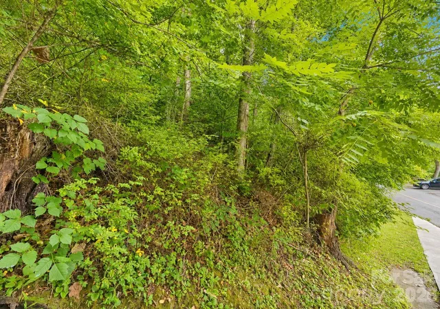 Homes for sale in Maggie Valley, NC | 350 Mountain View Dr, Maggie Valley, NC 28751 | MLS# 4402798