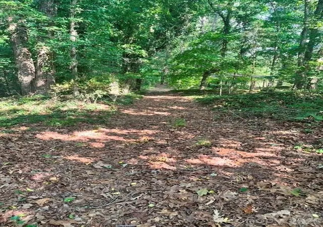 3rd image of - Red Yam Farm Rd, Dallas, NC 28034 | MLS# 4402805
