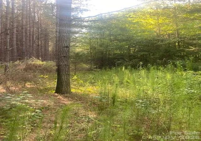 5th image of - Red Yam Farm Rd, Dallas, NC 28034 | MLS# 4402805