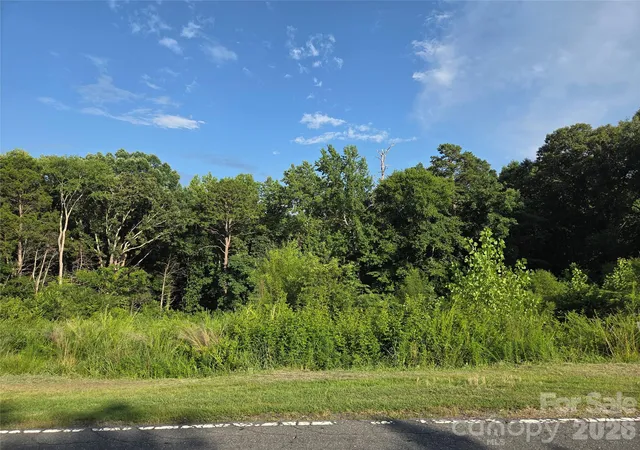 Land for sale at 92 SE Mcarthur Ave, Concord, NC 28025 | MLS# 4402824