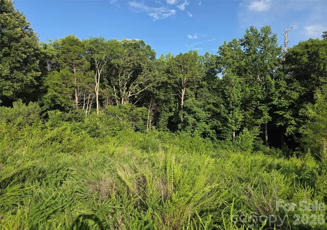 Photo 3 of Land for sale at 92 Se Mcarthur Ave, Concord, NC 28025 | MLS# 4402824 | Listing updated on 2026-08-04
