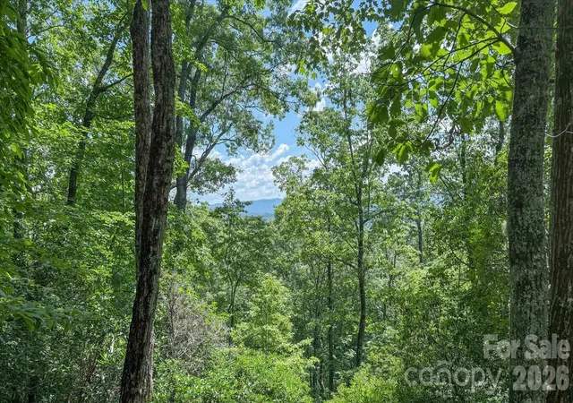 Photo 1 of Land for sale at Tbd Stone Dr #L40, Brevard, NC 28712 | MLS# 4402829 | Listing updated on 2026-07-23