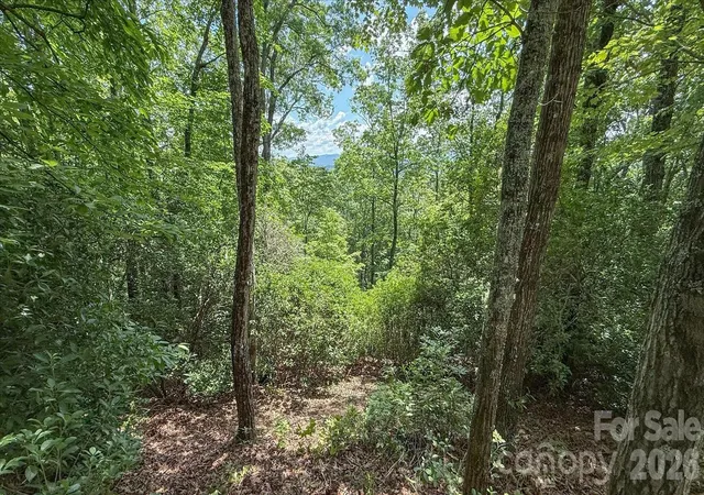 Photo 12 of Land for sale at Tbd Stone Dr #L40, Brevard, NC 28712 | MLS# 4402829 | Listing updated on 2026-07-23