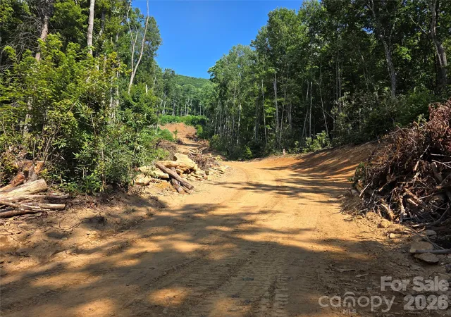 Photo 3 of Land for sale at 99999 Bee Tree Rd, Swannanoa, NC 28778 | MLS# 4402930 | Listing updated on 2026-09-23