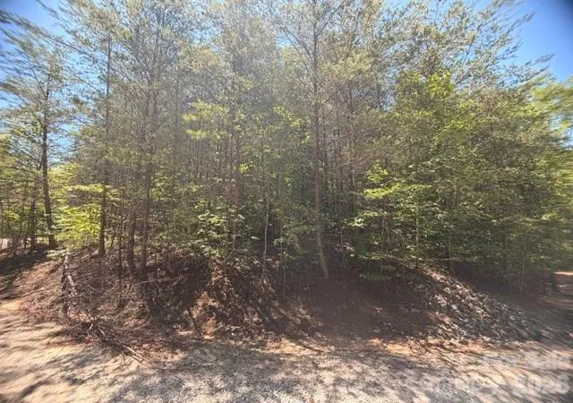 1st image of 00 Sundance Dr #5-IV, Nebo, NC 28761 | MLS# 4402956
