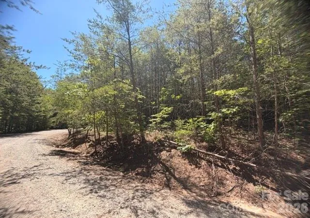 3rd image of 00 Sundance Dr #5-IV, Nebo, NC 28761 | MLS# 4402956
