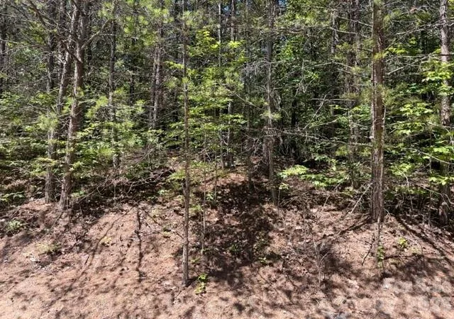 4th image of 00 Sundance Dr #5-IV, Nebo, NC 28761 | MLS# 4402956