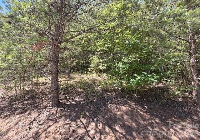 5th image of 00 Sundance Dr #5-IV, Nebo, NC 28761 | MLS# 4402956