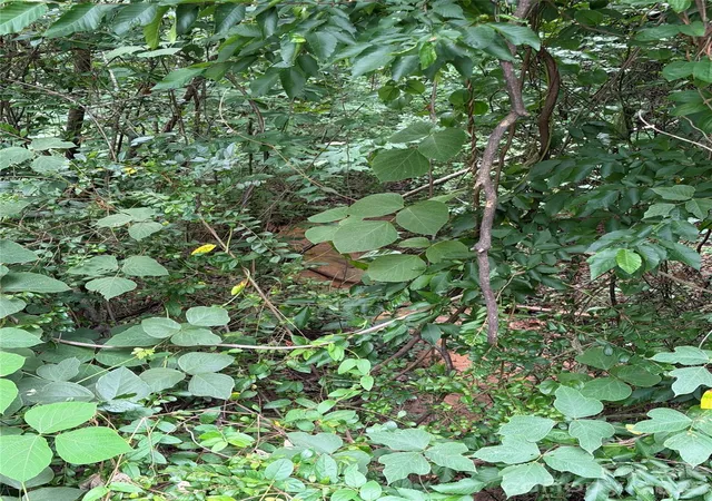 4th image of 1575 Cranwell Dr, Mount Ulla, NC 28125 | MLS# 4403004