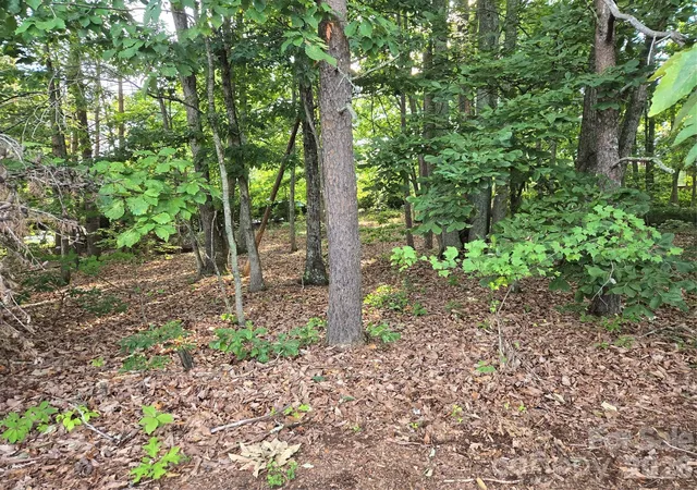 Photo 2 of Land for sale at 1236 Smithfield Dr, Hudson, NC 28638 | MLS# 4403028 | Listing updated on 2026-08-24