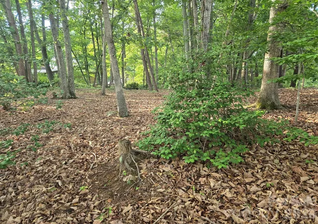 Photo 3 of Land for sale at 1236 Smithfield Dr, Hudson, NC 28638 | MLS# 4403028 | Listing updated on 2026-08-24