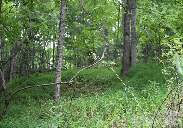 17th image of Plt 3 Scenic View Dr, Green Mountain, NC 28740 | MLS# 4403044