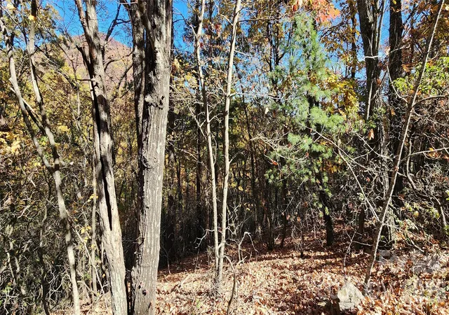 Photo 4 of Land for sale at Lot 22 A Pinnacle Pkwy #22A, Union Mills, NC 28167 | MLS# 4403206 | Listing updated on 2026-07-14