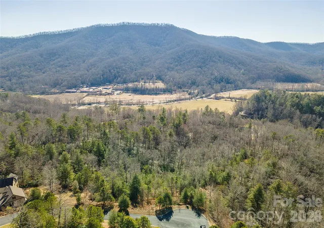 Homes for sale in Horse Shoe, NC | 99999 Woodhen Wy #138 & 139, Horse Shoe, NC 28742 | MLS# 4403208
