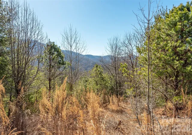 Homes for sale in Horse Shoe, NC | 99999 Woodhen Wy #138 & 139, Horse Shoe, NC 28742 | MLS# 4403208