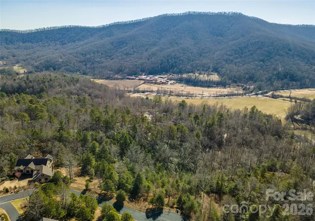 Homes for sale in Horse Shoe, NC | 99999 Woodhen Wy #138 & 139, Horse Shoe, NC 28742 | MLS# 4403208