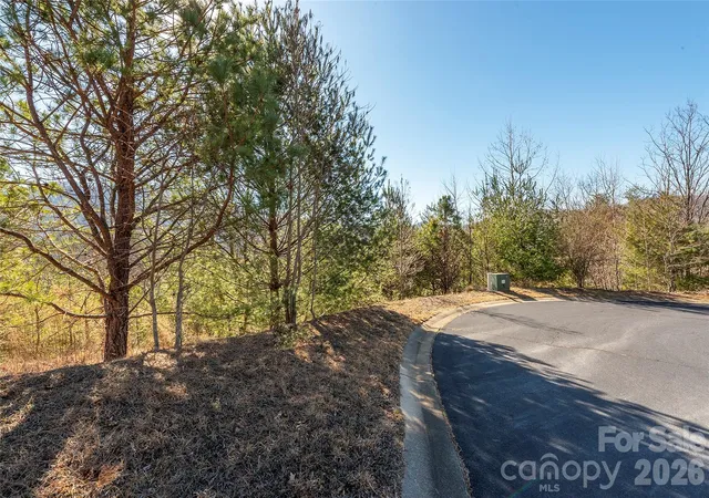 Homes for sale in Horse Shoe, NC | 99999 Woodhen Wy #138 & 139, Horse Shoe, NC 28742 | MLS# 4403208