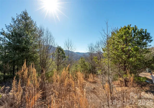 Homes for sale in Horse Shoe, NC | 99999 Woodhen Wy #138 & 139, Horse Shoe, NC 28742 | MLS# 4403208