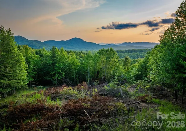 3rd image of V/L Summit Trl #82, Nebo, NC 28761 | MLS# 4403265
