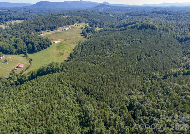 2nd image of 83 Acres +/  Pleasant Grove Rd, Rutherfordton, NC 28139 | MLS# 4403273
