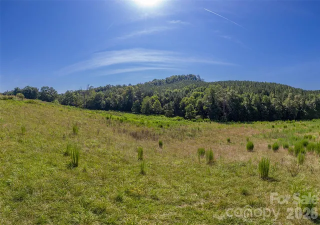 26th image of 83 Acres +/  Pleasant Grove Rd, Rutherfordton, NC 28139 | MLS# 4403273