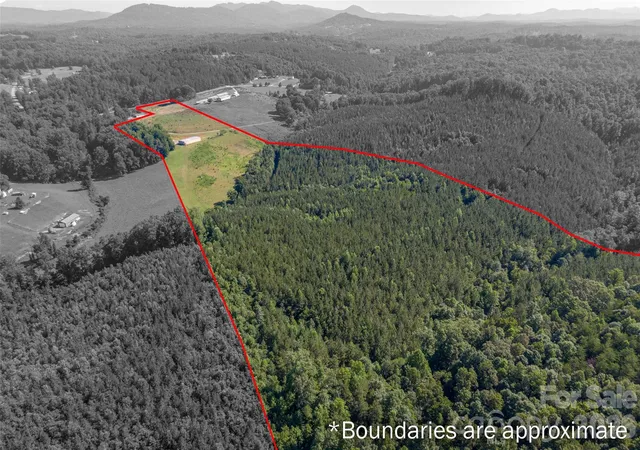 Photo 4 of Land for sale at 83 Acres +/- Pleasant Grv Rd, Rutherfordton, NC 28139 | MLS# 4403273 | Listing updated on 2026-08-14