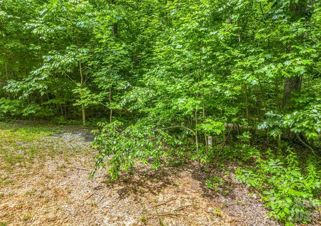 Photo 3 of Land for sale at Lot 29 Matho Tr #29, Lake Lure, NC 28746 | MLS# 4403287 | Listing updated on 2026-08-31