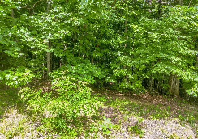 Photo 4 of Land for sale at Lot 29 Matho Tr #29, Lake Lure, NC 28746 | MLS# 4403287 | Listing updated on 2026-08-31